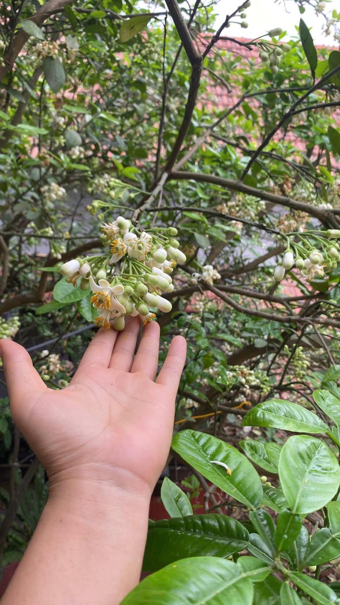 Tam Coc Happy Home نينه بينه المظهر الخارجي الصورة